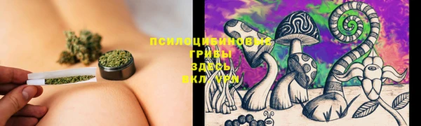 2c-b Аркадак